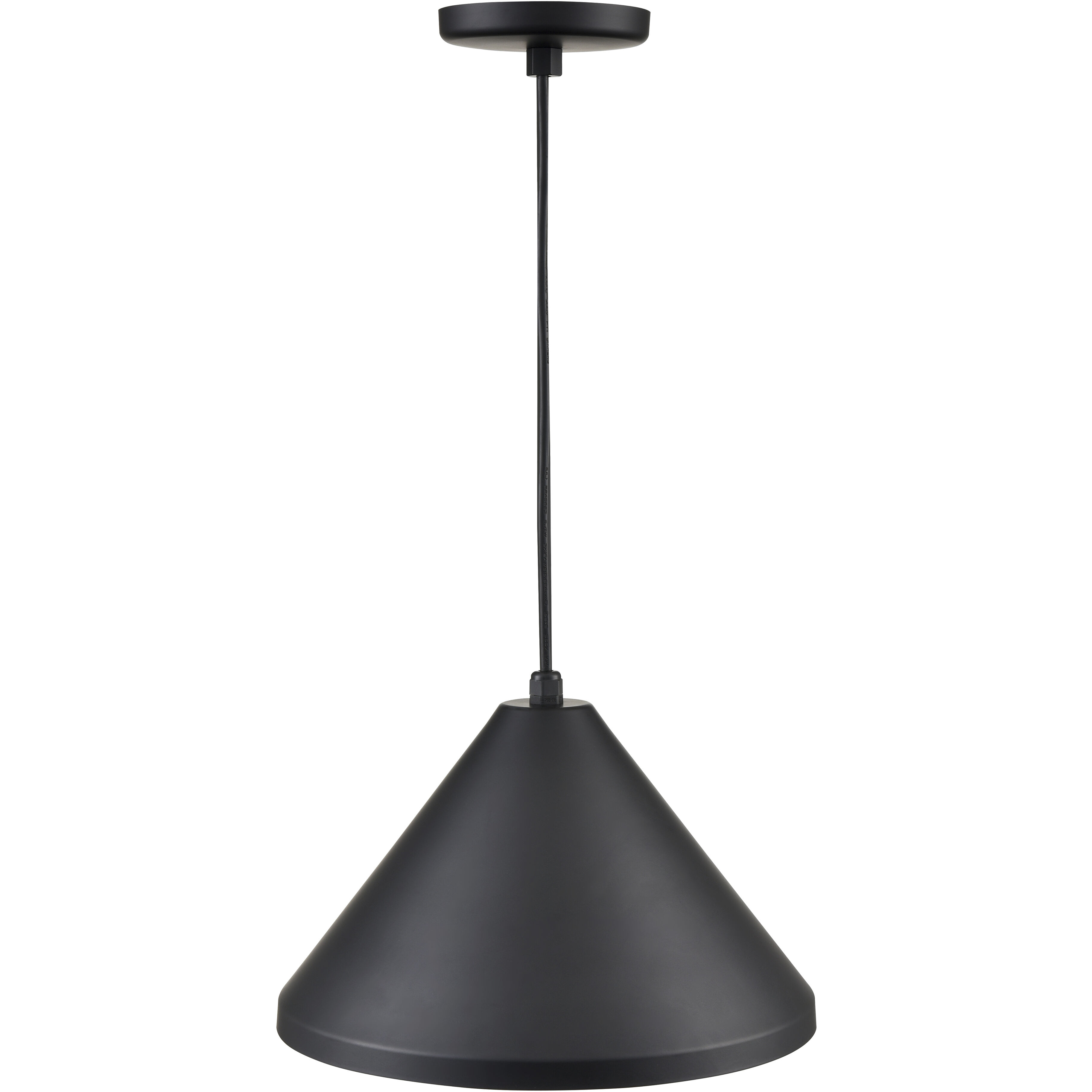 R Series 1 Light 13 inch Satin Black Outdoor Pendant